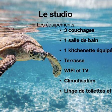 Studio Hippocampe P&V Sainte-Luce Esterno foto