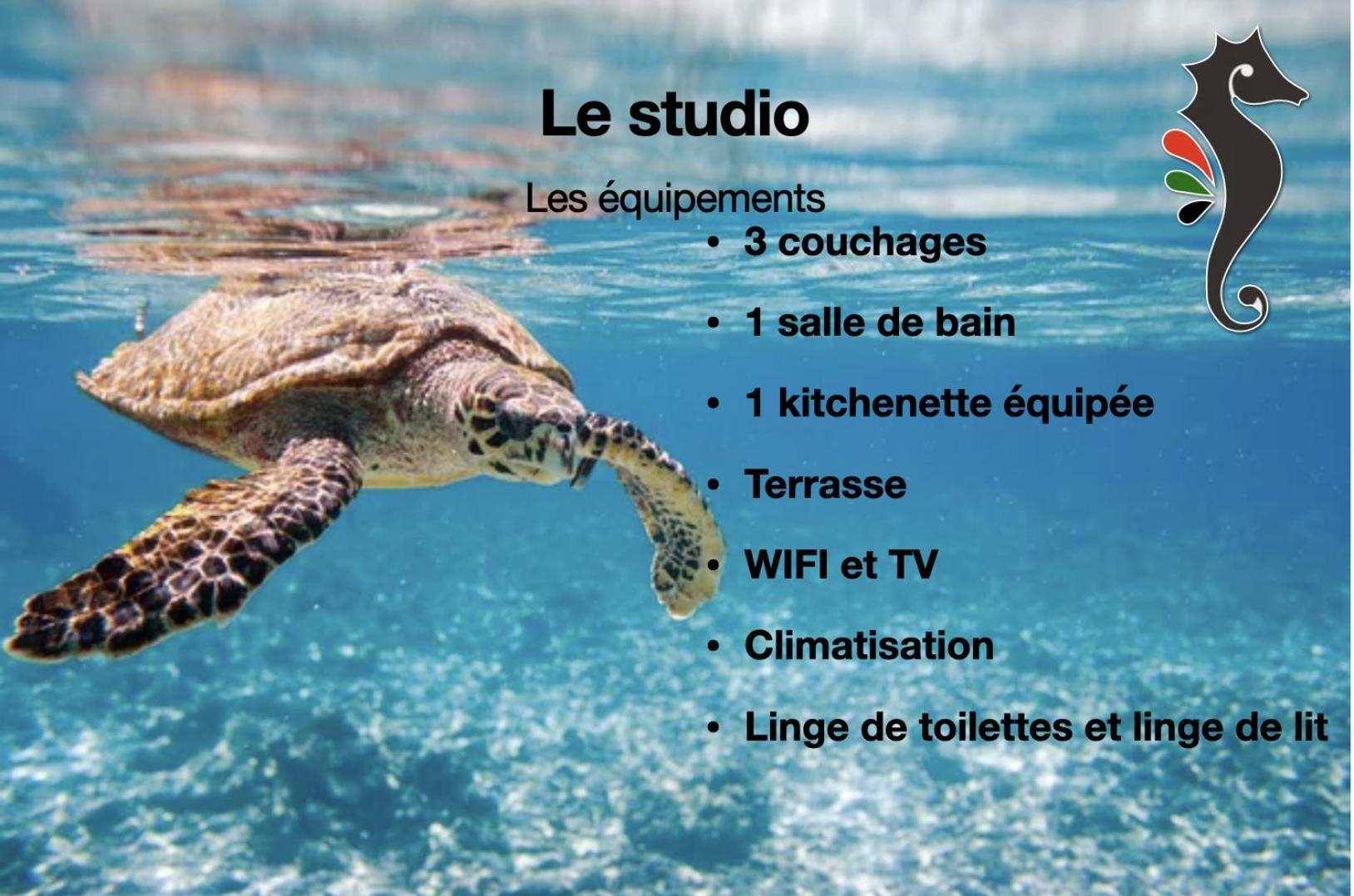 Studio Hippocampe P&V Sainte-Luce Esterno foto